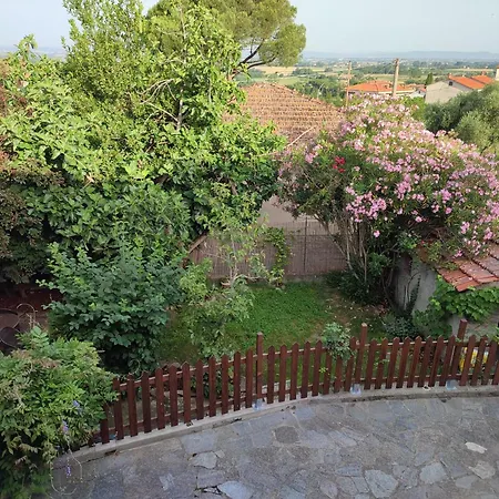 Dom wakacyjny Il Fico Di Cortona